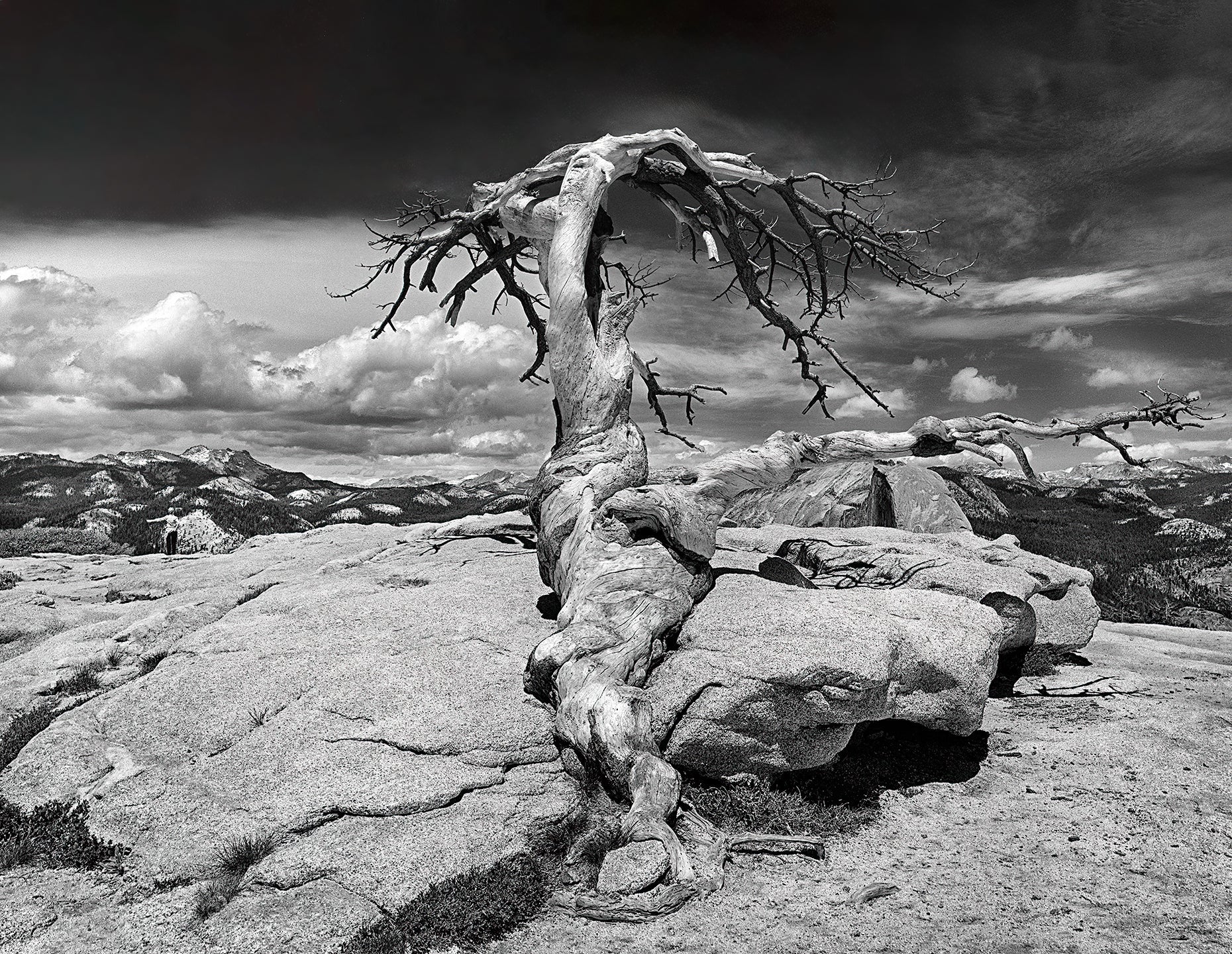 Landscapes